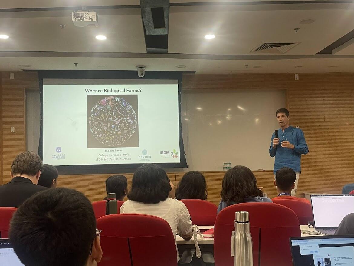 In a lecture by Professor Thomas Lecuit