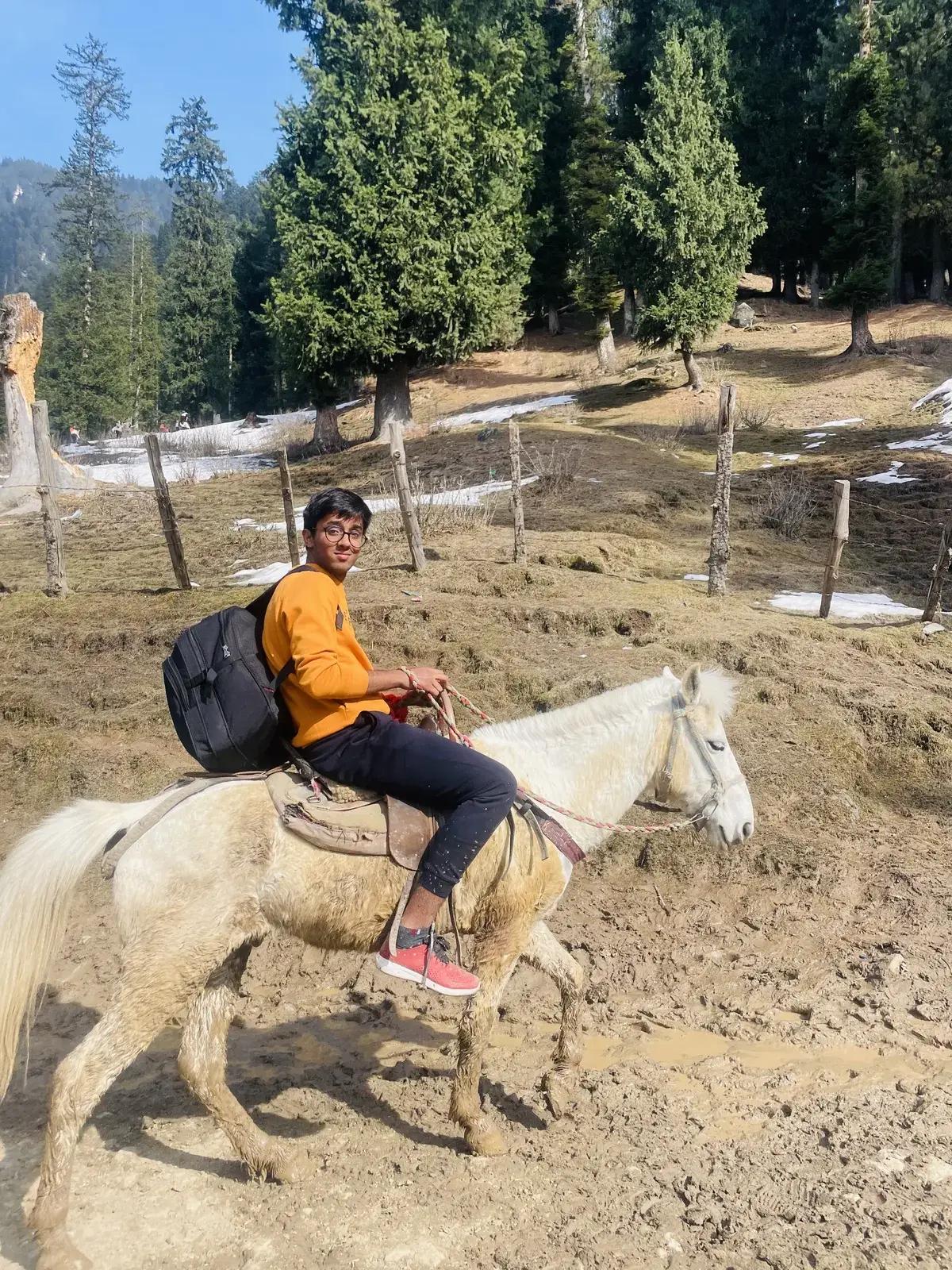 Riding a white horse through a pine forest with patches of snow